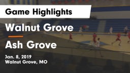 Walnut Grove  vs Ash Grove  Game Highlights - Jan. 8, 2019