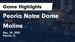 Peoria Notre Dame  vs Moline  Game Highlights - Dec. 29, 2023