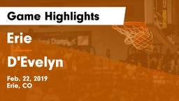 Erie  vs D'Evelyn  Game Highlights - Feb. 22, 2019