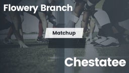 Matchup: Flowery Branch High vs. Chestatee  2016