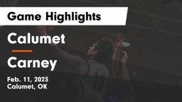 Calumet  vs Carney Game Highlights - Feb. 11, 2023