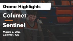 Calumet  vs Sentinel  Game Highlights - March 2, 2023