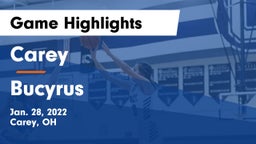 Carey  vs Bucyrus  Game Highlights - Jan. 28, 2022