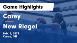 Carey  vs New Riegel  Game Highlights - Feb. 7, 2023