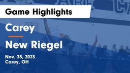 Carey  vs New Riegel  Game Highlights - Nov. 28, 2023