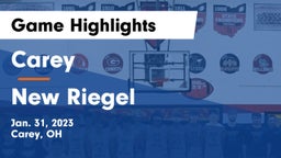 Carey  vs New Riegel  Game Highlights - Jan. 31, 2023