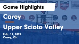 Carey  vs Upper Scioto Valley  Game Highlights - Feb. 11, 2023