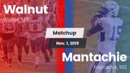 Matchup: Walnut vs. Mantachie  2019