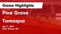 Pine Grove  vs Tamaqua  Game Highlights - Jan 7, 2017