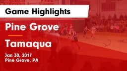 Pine Grove  vs Tamaqua  Game Highlights - Jan 30, 2017
