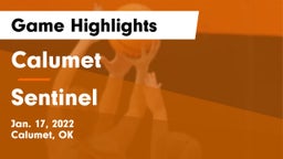 Calumet  vs Sentinel Game Highlights - Jan. 17, 2022