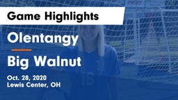 Olentangy  vs Big Walnut Game Highlights - Oct. 28, 2020