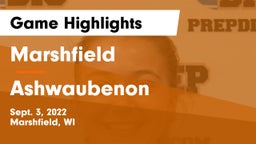 Marshfield  vs Ashwaubenon  Game Highlights - Sept. 3, 2022