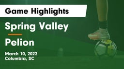 Spring Valley  vs Pelion Game Highlights - March 10, 2022