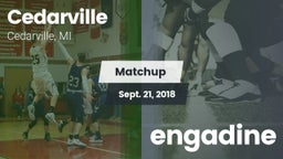 Matchup: Cedarville vs. engadine 2018