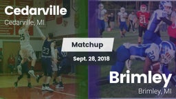 Matchup: Cedarville vs. Brimley  2018