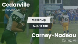 Matchup: Cedarville vs. Carney-Nadeau  2019