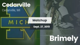 Matchup: Cedarville vs. Brimely 2019