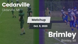 Matchup: Cedarville vs. Brimley  2020