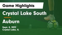 Crystal Lake South  vs Auburn  Game Highlights - Sept. 8, 2022