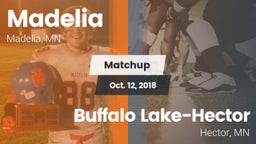 Matchup: Madelia vs. Buffalo Lake-Hector  2018