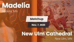 Matchup: Madelia vs. New Ulm Cathedral  2020