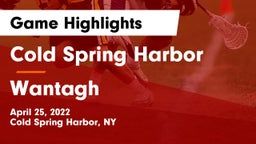 Cold Spring Harbor  vs Wantagh  Game Highlights - April 25, 2022