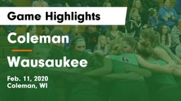 Coleman  vs Wausaukee  Game Highlights - Feb. 11, 2020