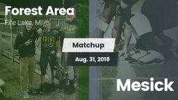 Matchup: Forest Area High vs. Mesick 2018