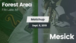 Matchup: Forest Area High vs. Mesick 2019