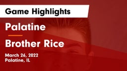 Palatine  vs Brother Rice Game Highlights - March 26, 2022