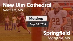 Matchup: New Ulm Cathedral vs. Springfield  2016