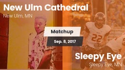 Matchup: New Ulm Cathedral vs. Sleepy Eye  2017