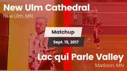 Matchup: New Ulm Cathedral vs. Lac qui Parle Valley  2017