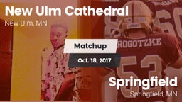 Matchup: New Ulm Cathedral vs. Springfield  2017