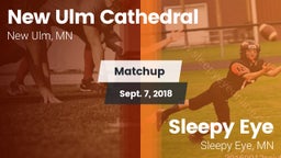 Matchup: New Ulm Cathedral vs. Sleepy Eye  2018