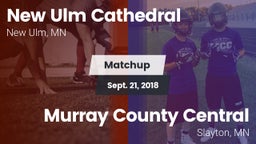 Matchup: New Ulm Cathedral vs. Murray County Central  2018
