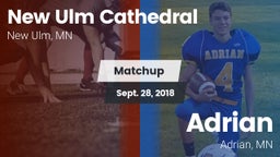 Matchup: New Ulm Cathedral vs. Adrian  2018