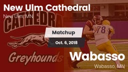 Matchup: New Ulm Cathedral vs. Wabasso  2018