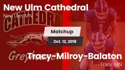 Matchup: New Ulm Cathedral vs. Tracy-Milroy-Balaton  2018
