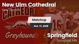 Matchup: New Ulm Cathedral vs. Springfield  2018