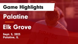 Palatine  vs Elk Grove  Game Highlights - Sept. 5, 2023