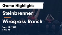 Steinbrenner  vs Wiregrass Ranch  Game Highlights - Jan. 11, 2019