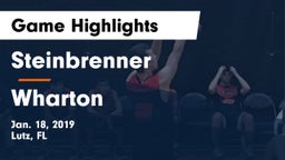 Steinbrenner  vs Wharton  Game Highlights - Jan. 18, 2019