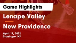 Lenape Valley  vs New Providence  Game Highlights - April 19, 2022