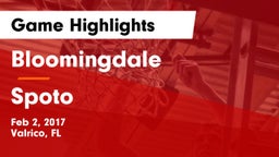 Bloomingdale  vs Spoto  Game Highlights - Feb 2, 2017