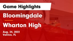 Bloomingdale  vs Wharton High Game Highlights - Aug. 24, 2022