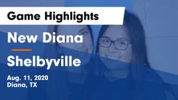 New Diana  vs Shelbyville  Game Highlights - Aug. 11, 2020