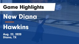 New Diana  vs Hawkins  Game Highlights - Aug. 22, 2020