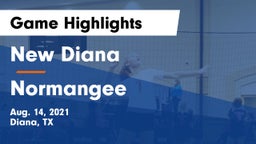 New Diana  vs Normangee  Game Highlights - Aug. 14, 2021